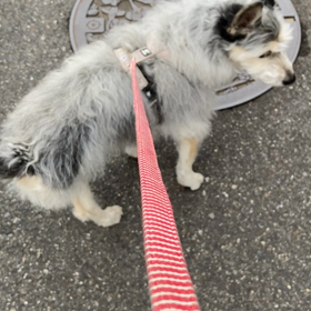 今日で6年が過ぎました…の画像