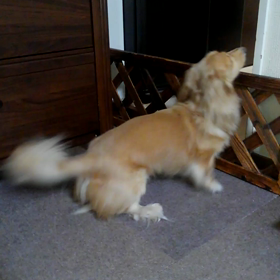 繋がりの力の画像