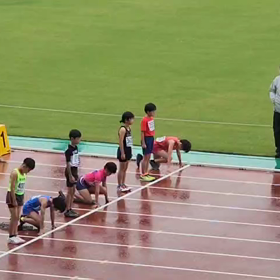 ４年男女80m予選⑥の画像