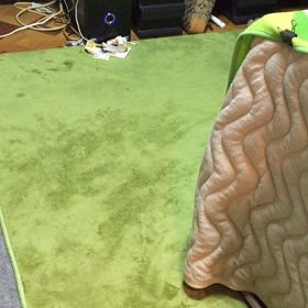 お皿、持ってきて～の画像