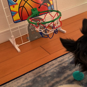 シェリ宿題の画像