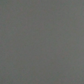 イナイトコロエの画像