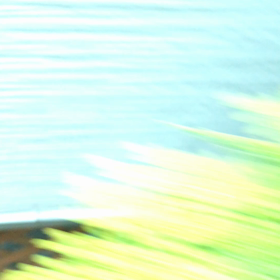 もう…鳥さんですの画像