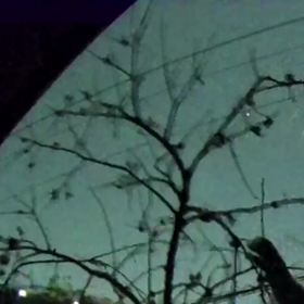 すぎぴたんの事件簿シーズン3　100話（忍び寄る黒い影Σ(ﾟ∀ﾟﾉ)ﾉｷｬｰ）の画像