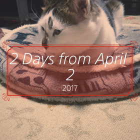 いつも…寝坊助はなちゃん。の画像