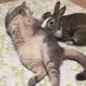 縦列駐車ならぬ…♡の画像