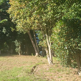 不登校日記　1️⃣の画像