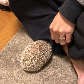 妬けるわぁ。の画像