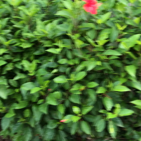 沖縄15❋プールの画像