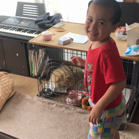 ポケモン名台詞の画像