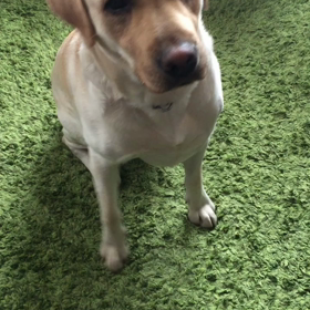 My sweet JJ❣️の画像