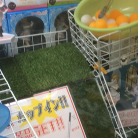 帰埼しました。の画像