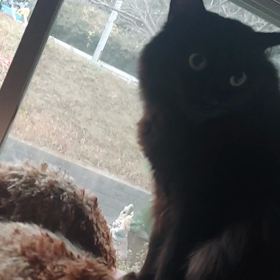 寒いから寝坊する毎朝(>_<)の画像