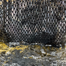 放流の時間です。の画像