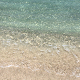 ☆D21 37.00 採卵費用まとめ☆の画像