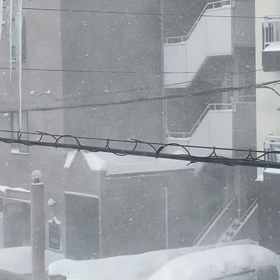 2024年1月の画像