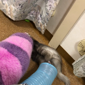 4月の病院②の画像