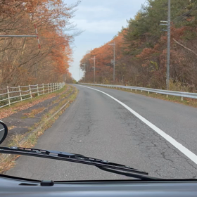 聖湖の紅葉は・・の画像