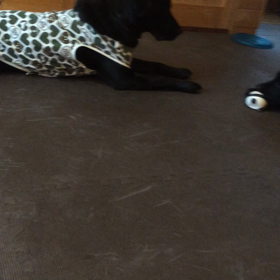 微妙な距離とアキを見つめる冷静なナツの画像