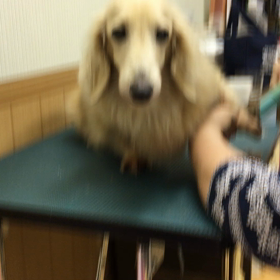 いつものニコニコはどこいった？の画像