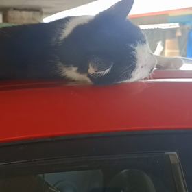 你的一天の画像