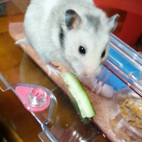 ちょっといくら見て？（笑）の画像