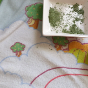 元気だよの画像