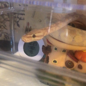 もっと一緒にいたかったの画像