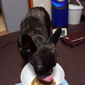 5月19日(火)の画像