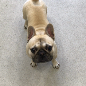 ♪プレイルーム動画♪②の画像