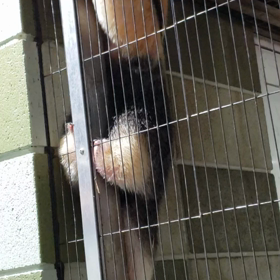 ４日の動画♪の画像