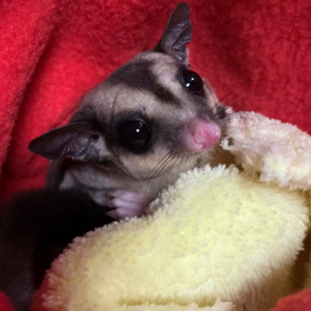 75gの癒し。。。の画像