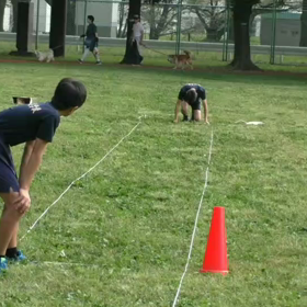 リレー特別練習(往復バトン)⑮の画像