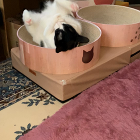 やっと週末の画像