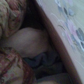 動画を撮ってみたパート3の画像