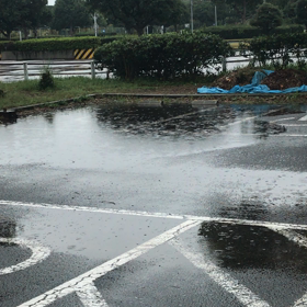 雨の中の行政処分の画像