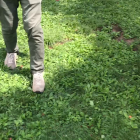 running Anco！の画像