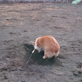 公園デート♪の画像