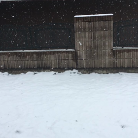 雪の降る街の画像