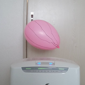 風船の柄の画像