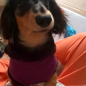 今日は術前検査の画像