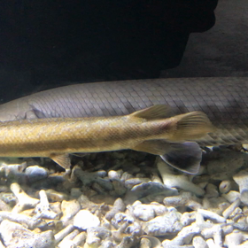 今日は快晴で⤴️の画像