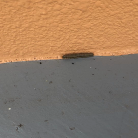 怖い、怖い…の画像