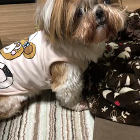 えっ？？？の画像