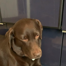 おはようございますの画像