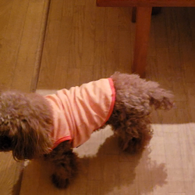 ももちゃん冬服の画像