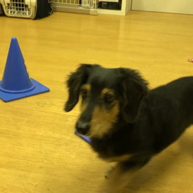 レイチ編。の画像