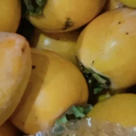 干し柿作り&フィッシングの画像