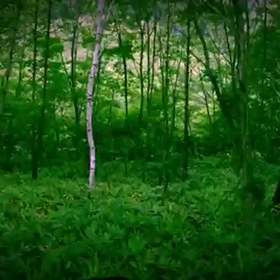 アロマハンドタッチングケアセラピスト認定講座福岡県朝倉校の画像