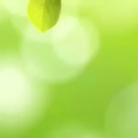 レッスン風景の動画30秒編 ①の画像